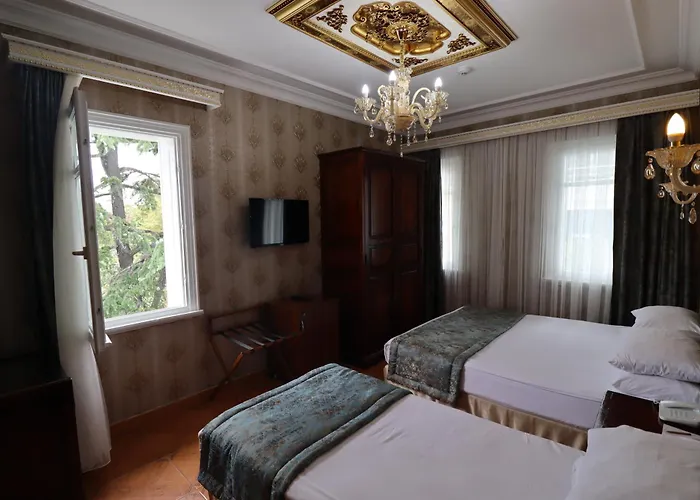 Blue House Old - Sultanahmet 3* איסטמבול
