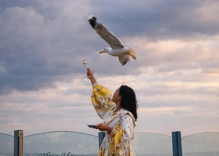 Blue House Old - Sultanahmet מלון איסטמבול